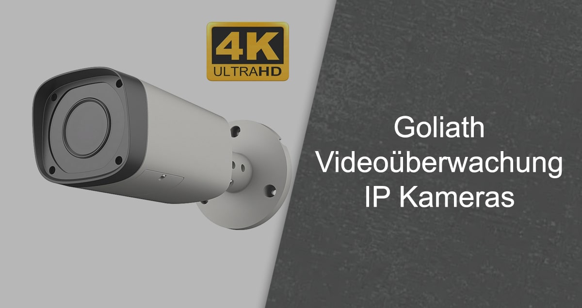 Goliath IP Kamera für Videoüberwachung mit PoE und Netzwerkanschluss